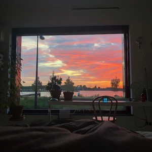 小马拉大车吃童子鸡色情的最新
