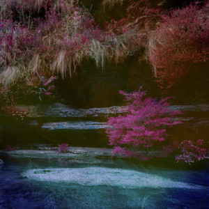 小马拉大车吃童子鸡色情的最新
